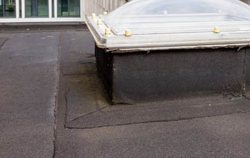 disadvantages of Newton Mulgrave flat roofs