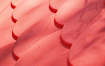 Newton Mulgrave plastic roof costs