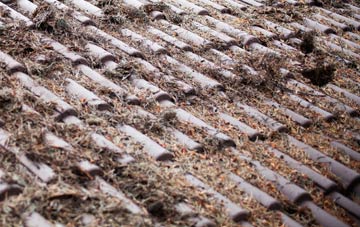 Newton Mulgrave roof cleaning companies