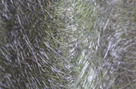 Newton Mulgrave fibreglass roof work